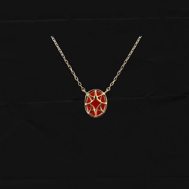 珊瑚 血赤珊瑚 サニーペンダント ネックレス K10イエローゴールド 天然 サンゴ 一点物 アクセサリー 厄除け お守り クリスマス バレンタイン 誕生日プレゼント 記念日 ホワイトデー ジュエリー 大人可愛い ギフト さんご サンゴ 高知県室戸市