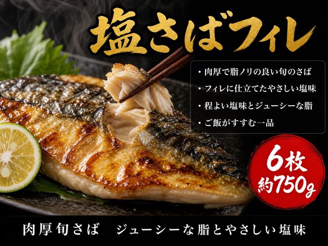 迷ったらコレ！！魚鶴商店の天然紅サケ１ｋｇ & 塩さばフィレ６枚セット【uot744B-1】