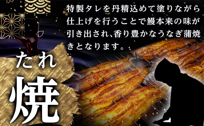 【丑の日】職人手焼きの本格うなぎ蒲焼き3尾≪7月20日～25日お届け≫_AC-33-003-3-UG 