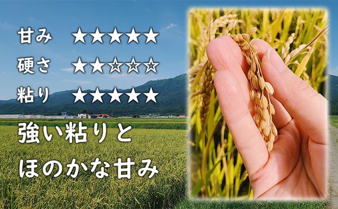 【令和8年度】北海道 富良野産 おぼろづき 減農薬 5kg 米 (山本農園) お米 ご飯 ごはん 白米 定期 送料無料 北海道 富良野市 道産 直送 ふらの