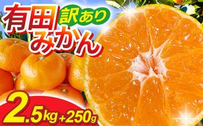 【先行予約】家庭用有田みかんサイズ混合(2S～2L)2.5kg+250g 11月より発送(完熟)/ みかん ミカン 有田みかん 柑橘 フルーツ 果物 和歌山 オレンジ【ikd173B】 