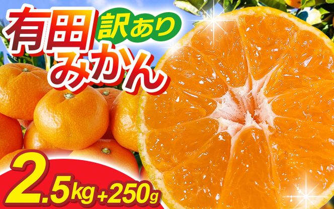 ya̎RI쒬zys\zƒpLc݂TCY(2S`2L)2.5kg+250g 11蔭(n)/ ݂ ~J Lc݂ k t[c ʕ a̎R IWyikd173Bz