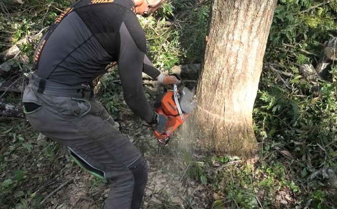 薪 キャンプ の 焚火 、 ストーブ ・ 暖炉 用に最適な 乾燥薪 18～20kg 日用品 ナラ クヌギ カシ 雑貨 焚火、ストーブ 暖炉用 