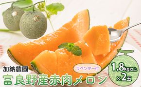 【2026年7月～発送】富良野産 赤肉 メロン ≪ラベンダー付≫ 2玉 計3.6kg以上 北海道 富良野市 (加納農園) メロン フルーツ 果物 新鮮 甘い 贈り物 ギフト 道産 ジューシー おやつ ふらの ブランド 夏 