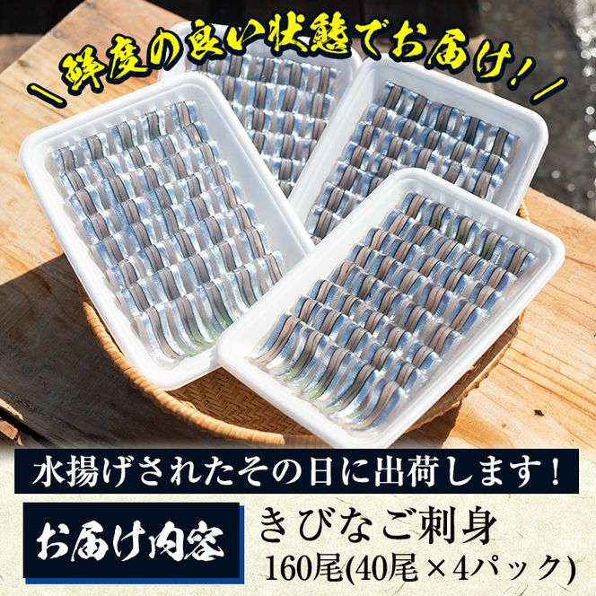 鹿児島県阿久根産 天然きびなごのお刺身(計160尾・40尾×4パック)国産 魚介 魚貝 海産物 鮮魚 冷蔵配送 キビナゴ 海鮮丼 食品 セット 詰め合わせ 水産加工品【濱崎魚類】akn023-02