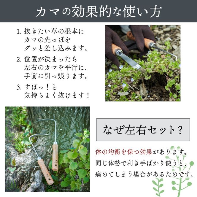 ギフト用 ステンレス 草取り カギカマ [右手用] [左手用] 各1本 計2本 道具 かぎかま 右手用 左手用 鎌 草刈り 草刈 ガーデニング 園芸 庭 手入れ 家庭菜園 園芸用品 日用品 掃除 日本製 鍛冶屋 [kumagai007]
