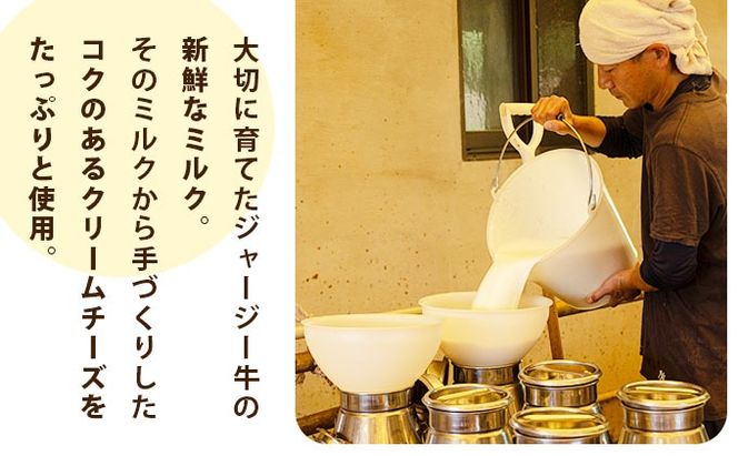 【石垣島 まぁじゅんのジャージー牧場】ジャージーミルクのベイクドチーズケーキ F-4