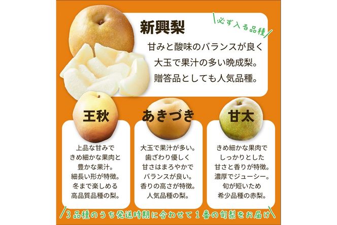 田園紳士厳選「梨好きさんのための梨セット」新興梨ともう1品種の計2品種セット 果物 フルーツ 梨 セット 詰め合わせ 新興梨 あきづき 甘太 王秋 ふるさと納税 梨 ふるさと納税 フルーツ セット　DE00173