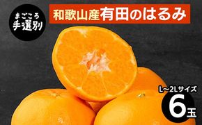 【先行予約】【まごころ手選別】和歌山県産 はるみ 約1.5kg（6玉）秀品 L～2Lサイズ混合 柑橘
