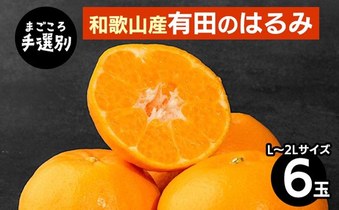 【先行予約】【まごころ手選別】和歌山県産 はるみ 約1.5kg（6玉）秀品 L～2Lサイズ混合 柑橘