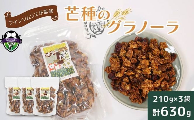 グラノーラ 手作り 210g×3個 計630g 国産 オーガニック 有機 ドライフルーツ フルーツ ナッツ ワイン おつまみ 果物 レーズン くるみ 朝ごはん おやつ ギフト 静岡県 藤枝市