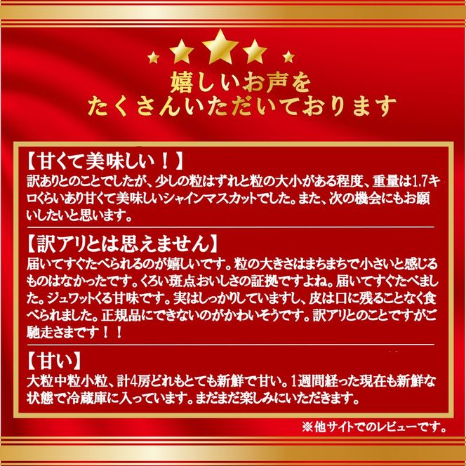 【2026年発送分 先行予約】【訳あり】徳用シャインマスカット(1.6～1.8kg) 　 訳アリ 訳あり品 シャイン マスカット ぶどう ブドウ 葡萄 徳用 家庭用 ご家庭用 旬 新鮮 くだもの 果物 フルーツ 山梨 やまなし 富士川町