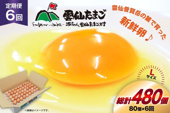 y茧szBI038 6  ՂI _傽܂LTCY 80 (75{⏞5) [  ܂  { ԗ ʎq VN ˂_傽܂ 茧 s ]