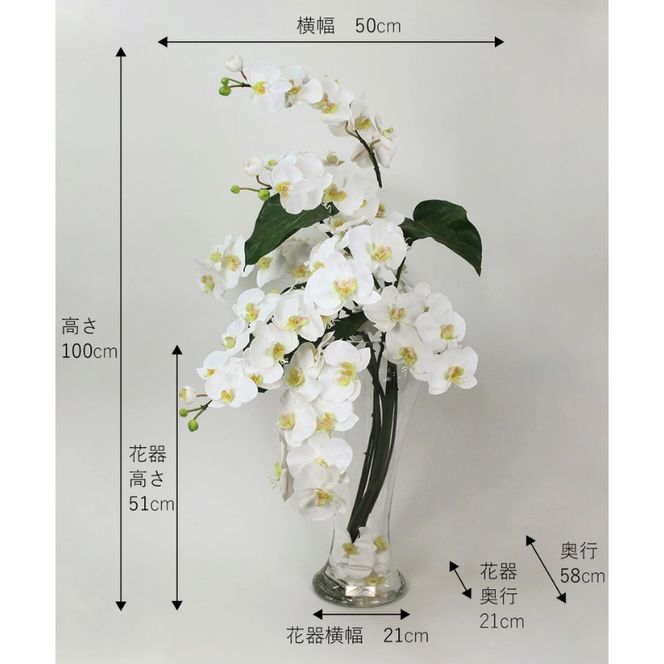 アートフラワー エミリオ・ロバ  ファレノプシス4Li TTNTP-54700
