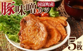 ＜国富町産 豚味噌カツ 5枚＞入金確認後、翌月末迄に順次出荷【国富産 豚肉 味噌味 味噌漬け みそ 豚味噌漬け 豚肉 ポーク おかず 一品 お弁当 焼くだけ 簡単調理 ロース肉 お肉 ご飯に合う ご飯が進む タレ 味噌だれ 個包装 小分け パック 惣菜】 【b1103_mk】