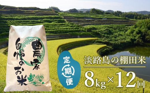 【定期便】淡路島の棚田米 ８kg×１２回（毎月発送）　精米 白米