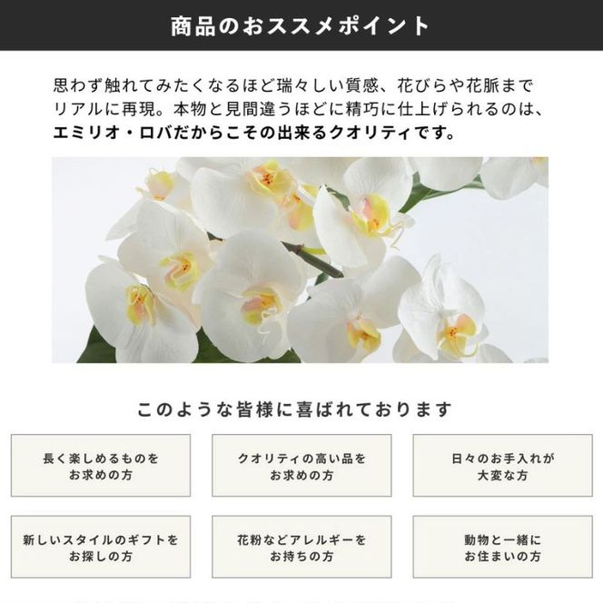 クーポン 商品券 エミリオ・ロバ 50,000円 ショッピング アパレル 三重県 名張市 オンラインショップ ギフト 贈り物 プレゼント ファッション ブランド お祝い 記念日 買い物 お買い物 服 オンライン 通販 ネットショップ 誕生日 三重 名張