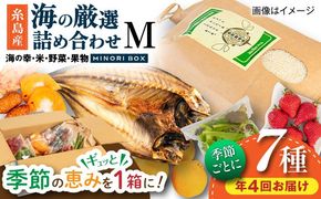 【全4回定期便 令和7年産新米】糸島産 魚 米 野菜 果物 厳選詰め合わせ MINORI BOX Mサイズ【季節ごとに年4回お届け】 糸島市 / emma.Inc / 米 魚 野菜 果物 詰め合わせ[AOP005] 米 こめ 魚 さかな 野菜 やさい 果物 くだもの 糸島 詰め合わせ MINOR