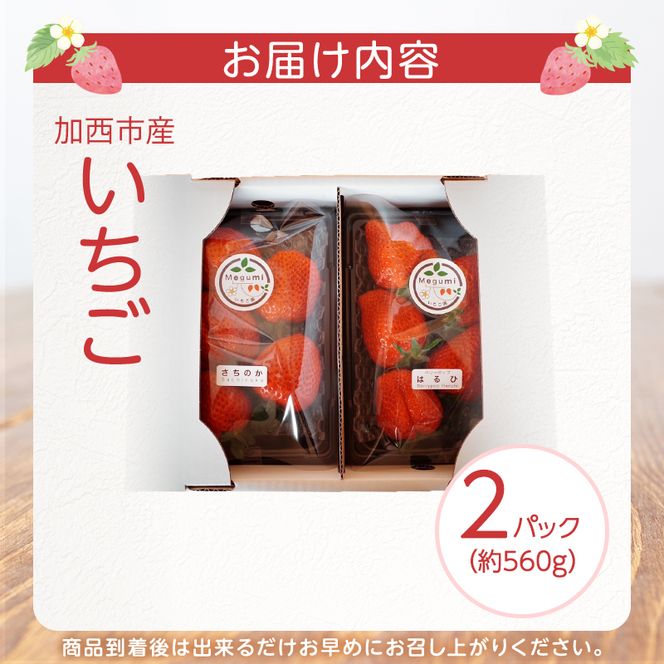 いちご 2パック 兵庫県 加西市 果物類 苺 イチゴ 果物詰合せ フルーツ