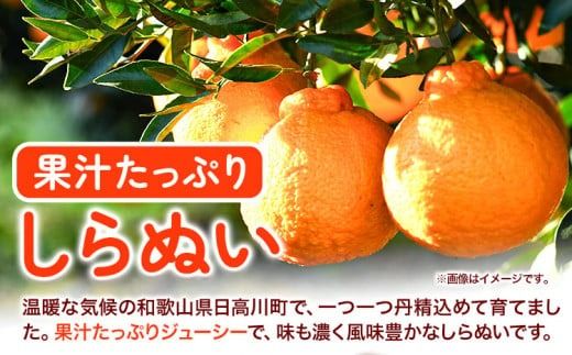 不知火 ( デコポンと同品種 ) しらぬい 約10kg (L～5Lサイズ) どの坂果樹園《2025年2月中旬-4月上旬頃出荷》 和歌山県 日高町 しらぬい 不知火 デコポン でこぽん 旬 果物 フルーツ 柑橘 産地直送 送料無料---wsh_dsk20_2j4j_24_20000_10kg---