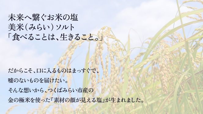 金の恵み米塩 美米～みらい～ 米塩３本セット ソルト しお salt 食べ比べ 調味料 塩 セット 便利 料理 味付 アレンジ こだわり 天然 ミネラル 手づくり さかたの塩 おにぎり 米 コシヒカリ こしひかり 玄米 甘み 旨味