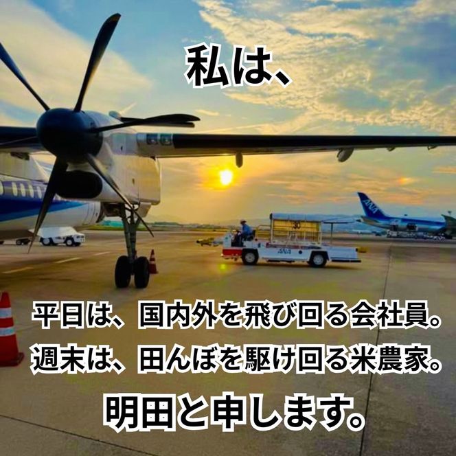令和8年産 新米 キヌヒカリ 5kg (精米) 明田のお米 精米 お米 新米 南丹市 京都 新米26
