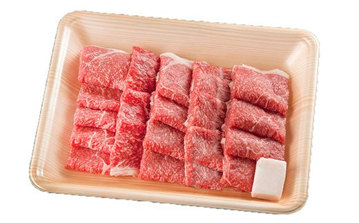 飛騨牛 もも300g・ロース300g 焼肉用 計600g 飛騨牛 A5等級 和牛 黒毛和牛 F4N-2669