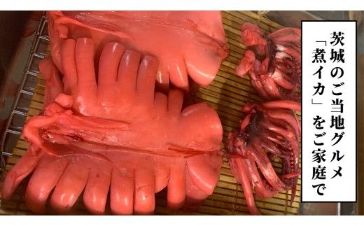 筑西市名物 煮イカ（二杯） いか 筑西 茨城 ソウルフード ご当地グルメ 名物 海鮮 魚介 冷凍 ［BW089ci］