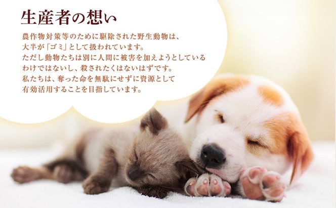 小諸産 KomoroPremium 鹿肉ウエットフード（栄養補助食）お試し5袋（100g/袋）