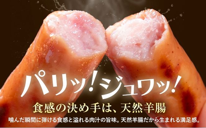 ウインナー 粗挽き ポーク ウインナー 500g 1kg 1.5kg 2kg ソーセージ 《2026年2月中旬-3月末頃出荷予定》九州産 豚肉 熊本県 大津町 惣菜 ウインナー ソーセージ 豚肉 豚 うまかポーク 弁当 おかず---oz_fumkwn_bc2_26_5500_500g---