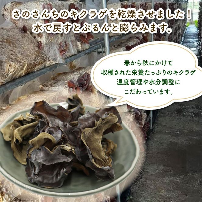 乾燥 キクラゲ 25g しいたけ スライス 45g しいたけ パウダー 45g 各2袋 計6袋 富富（とむとむ）さのさんち 椎茸 シイタケ くらげ 丸干し 木耳 パウダー 粉 出汁 きのこ 安心 安全 JGAP認証農場 干し椎茸 国産 乾燥椎茸 小分け キノコ 調理 簡単 便利 静岡県 藤枝市