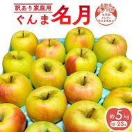 りんご 訳あり 家庭用 ぐんま名月 約 5kg (12～23玉) 黄色 不揃い 秋 2026年 11月発送