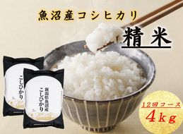 T-15【令和7年産 頒布会】魚沼産コシヒカリ 4kg×全12回米 コメ こしひかり 精米 ブランド米 お取り寄せ 十日町市