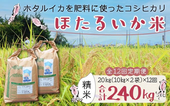 【訳あり】ほたるいか米（精米20kg）×12回 計240kg【12ヶ月定期便】