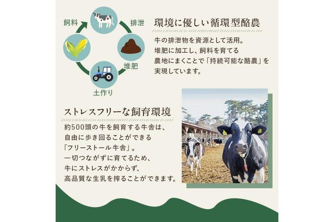 ns025-015-24 食べ比べセット　ピュアミルクアイス12個とミレピーニアイス12個【千本松牧場】