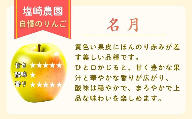 【先行予約│2026年10月下旬より順次発送】名月（めいげつ）【約3kg(6〜12玉)】(At-038)