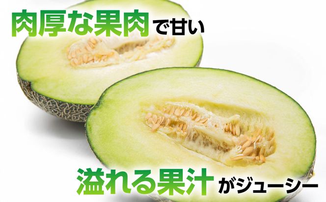 【先行予約】 熊本県八代市産 肥後グリーンメロン 4L以上 2玉 約4kg 果物 くだもの フルーツ 肥後グリーン メロン 青肉メロン 【2026年5月上旬より順次発送】