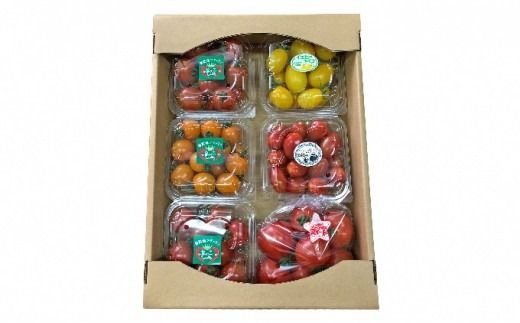 御殿場プチトマト ミックス6パック（約1.2kg） ※～2026年7月発送