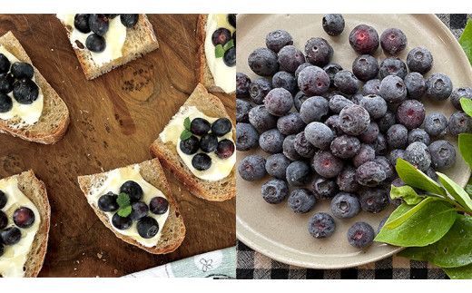 《 先行予約 》 冷凍 ブルーベリー 400g×3袋 【2026年7月上旬頃より発送開始】 冷凍 大粒 フルーツ 果物 くだもの おやつ 無農薬 農薬不使用 お取り寄せ 贈り物 ジャム スムージー [BK003us]