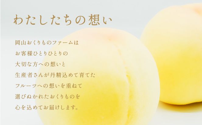 桃 2026年 先行予約 おかやま 夢 白桃 5～6玉入り(約1.5kg) 贈答用 もも モモ 岡山県 赤磐市産 国産 フルーツ 果物 ギフト 