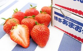 【3回定期便（2・3・4月発送）】博多あまおう 250g～270g × 4パック 【2027年2月上旬-4月下旬発送予定】 あまおう 果物 フルーツ 果実 苺 いちご イチゴ ストロベリー 完熟 新鮮 