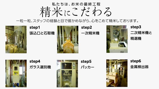 ＼ 選べる内容量 ／ 令和8年産 茨城県産 コシヒカリ / 特別栽培米コシヒカリ / ミルキークイーン（精米 2kg・5kg・10kg・26kg / 玄米 5kg・10kg・30kg） 白米 清米 こしひかり 米 コメ 単一米 茨城県産 おこめ