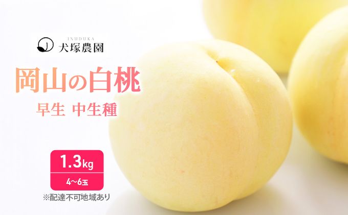 桃 2027年 先行予約 ご家庭用 訳あり 1.3kg 4〜6玉 もも モモ 国産 岡山 白桃 はくとう スイーツ フルーツ 果物 デザート 旬 岡山県 里庄町 送料無料 早生 中生種 犬塚農園