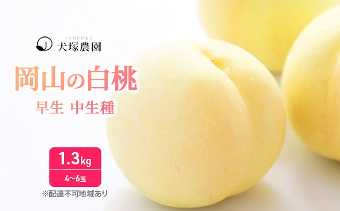 桃 2026年 先行予約 ご家庭用 訳あり 1.3kg 4～6玉 もも モモ 国産 岡山 白桃 はくとう スイーツ フルーツ 果物 デザート 旬 岡山県 里庄町 送料無料 早生 中生種 犬塚農園 