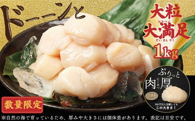 【在庫限り！数量限定】大粒ほたて貝柱　1kg【06002507】