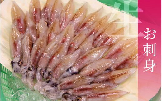 生 ホタルイカ 急速冷凍 【カネツル砂子商店】 / ほたるいか 冷凍 生 ホタルイカ刺身 ホタルイカしゃぶしゃぶ ホタルイカボイル ホタルイカ沖漬 [A-002011]