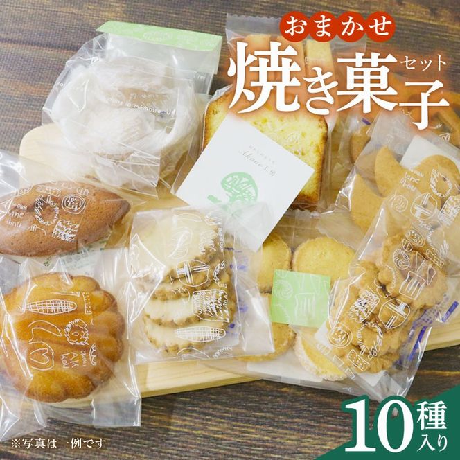 【オンライン決済限定】 先行予約：2024年 10月より発送 おまかせ 焼き菓子 10種セット お菓子 おかし 菓子 ギフト スイーツ みかん 藤枝市 静岡県