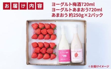 【冬】ヨーグルトあまおう＆ヨーグルト梅酒 各720ml×あまおう 約250g×2パック 糸島市 / 南国フルーツ株式会社 [AIK018]