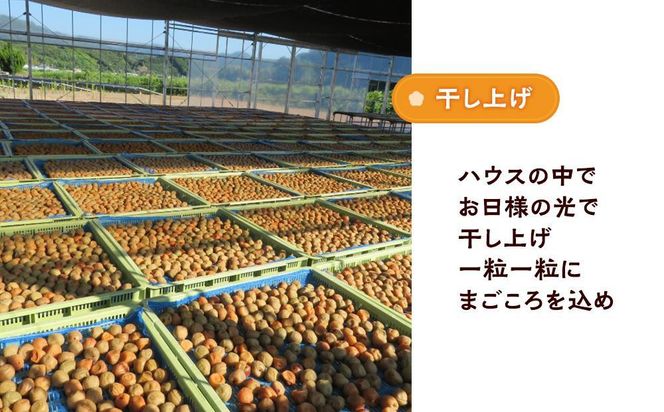 訳ありつぶれ梅干し しそ 合計2.1kg （350g×6パック） 塩分 10％［TR14w］ 304018_CS003