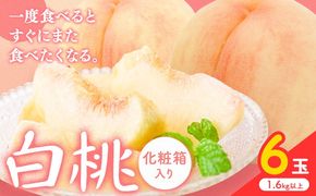 【2026年先行予約】白桃 6玉(1.6kg以上) 株式会社山博 (中本青果)《2026年7月上旬-8月中旬頃出荷》岡山県 笠岡市 桃 もも フルーツ 旬 果物 国産 岡山県産 送料無料 冷蔵 化粧箱【配送不可地域あり】---Y-23---